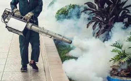 Why Professional Pest Control Is Important for Homes and Businesses in Thrissur