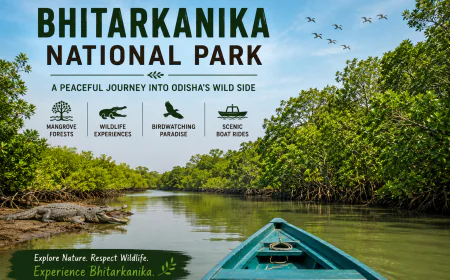 The Quiet Wild: A Season Inside Bhitarkanika National Park