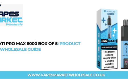 Hayati Pro Max 6000 Box of 5: Product and Wholesale Guide