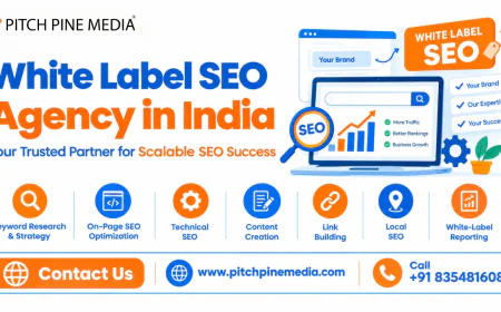 How Can White Label SEO Help Your Agency Grow?
