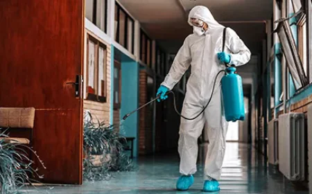 Why Professional Pest Control Brisbane Services Are Worth Considering