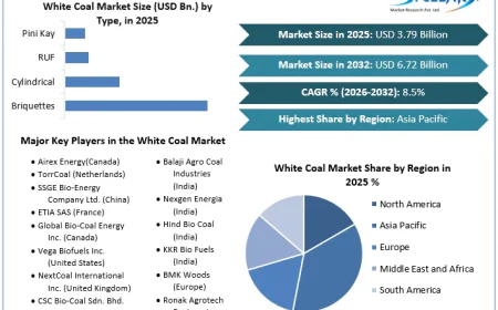 White Coal Market Future Outlook Shaped by Renewable Energy Initiatives