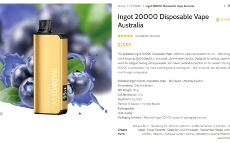 Disposable Vapes Australia: Models, Features and Product Overview