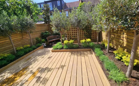 Landscape Garden Designers: What to Look For Before Transforming Your Outdoor Space