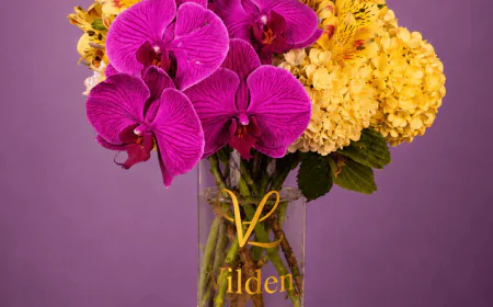 How Orchid Flowers Make A Sophisticated Statement For Special Occasions
