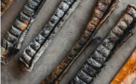 How to Make Natural Dog Treats: Mistakes You Should Avoid