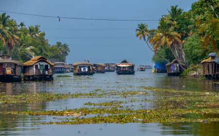 Kerala Tour Package: Explore Munnar, Alleppey, Kochi & Thekkady