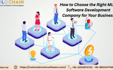 How to Choose the Right MLM Software Development Company for Your Business