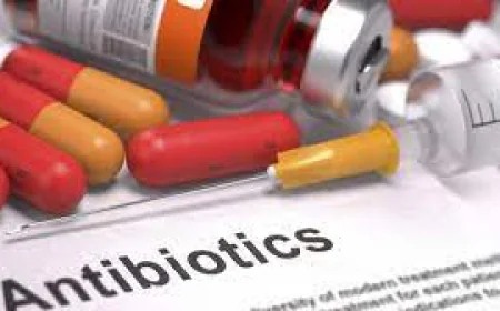 A Guide to Finding the Right Antibiotic Third Party Manufacturing Company for Your Business
