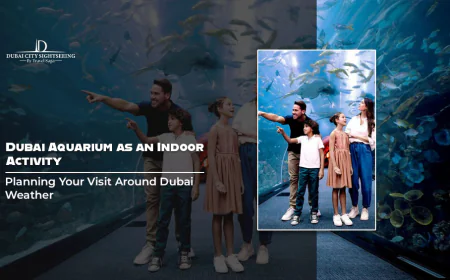 Dubai Aquarium as an Indoor Activity: Planning Your Visit Around Dubai Weather