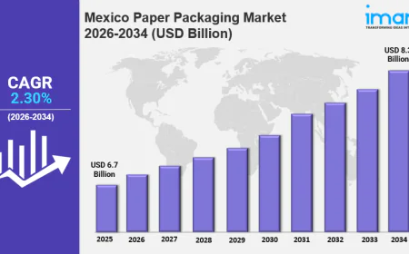 Mexico Paper Packaging Market Size to Reach USD 8.3 Billion by 2034