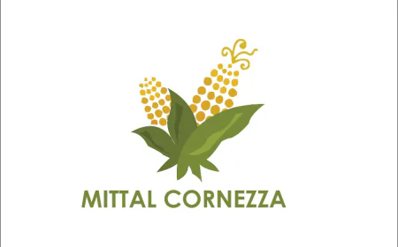 7 Key Factors That Determine the Quality of Corn Grits