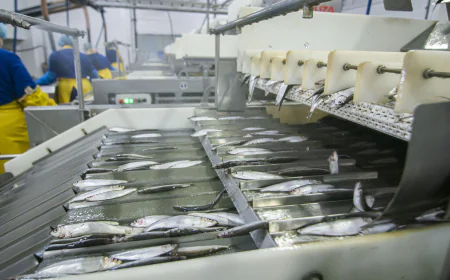 Fish Processing Market Size, Trends, and Strategic Outlook 2026-2033