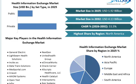 Overcoming Data Security Challenges in the Health Information Exchange Market