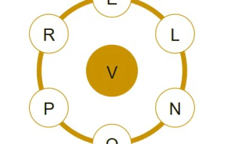Today's Spelling Bee Answers: Daily Hints, Solutions & Pangram