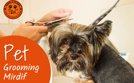 What Should You Look For in a Pet Grooming Mirdif Service?