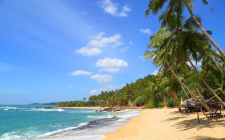 Which Scenic Train Journeys Should You Experience in Sri Lanka?