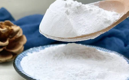 Strategic Insights on Calcium Propionate Market Size, Growth, and Trends