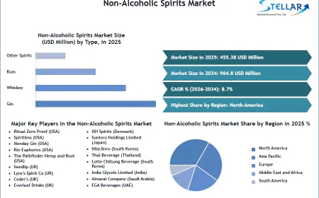 Non-Alcoholic Spirits Market Trends Highlight Growth in Premium Alcohol-Free Drinks