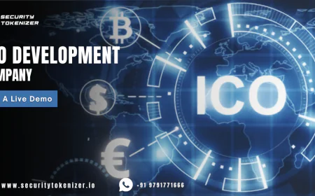 What Should Businesses Know About ICO Development as Crypto Fundraising Evolves in 2026?
