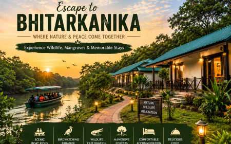 Why Bhitarkanika Is Famous: Discover Odisha’s Mangrove Wonderland