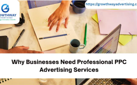 Why Businesses Need Professional PPC Advertising Services