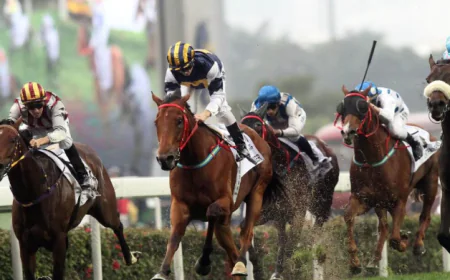 10 Ways Horse Racing Speed Ratings Can Improve Race Analysis