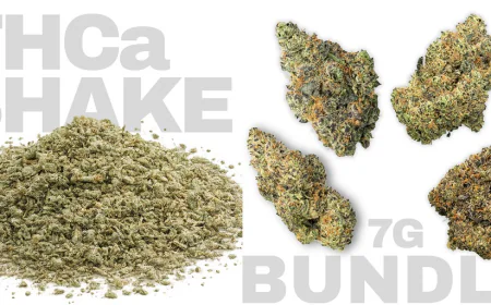 Hash Infused Prerolls vs High THCa Flower: Which One Fits Your Tolerance?