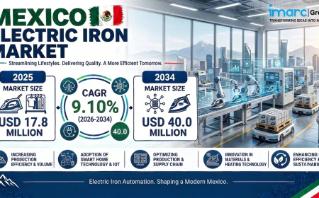 Mexico Electric Iron Market Size Worth USD 40.0 Million by 2034, Growing at a CAGR of 9.10%