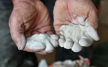 Why Choose Quality Diatomaceous Earth in India for Industrial Applications?