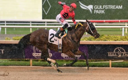 Horse Race Tips: Understanding Factors That Influence Racing Performance
