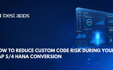 How to Reduce Custom Code Risk During Your SAP S/4 HANA Conversion