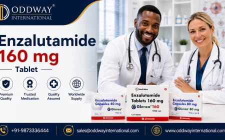 How to Navigate Enzalutamide 160 mg Price for B2B Buyers