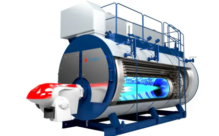 Package Boilers Market Growth Dynamics and Strategic Outlook 2026-2033