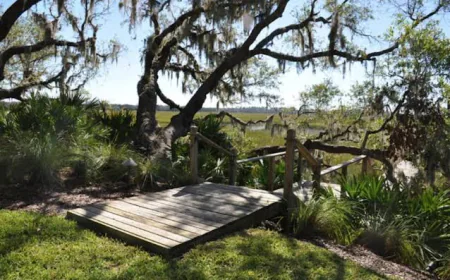 How Native Landscaping Supports Charleston’s Local Wildlife