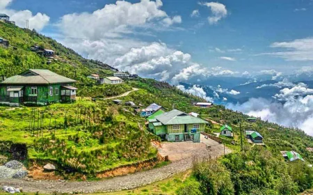 Unforgettable Northeast Adventures: Plan Your Perfect North East Tour Packages from Delhi