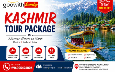 Affordable Kashmir Honeymoon Package for a Memorable Couple Trip