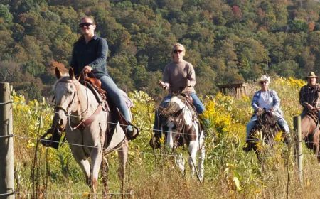 Things to Do in the Catskills: A Year-Round Guide to Delaware County, NY