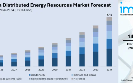 Can Australia's Homes Become the Power Grid's New Backbone?