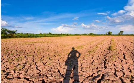 How Weather Affects Agriculture and Global Food Production