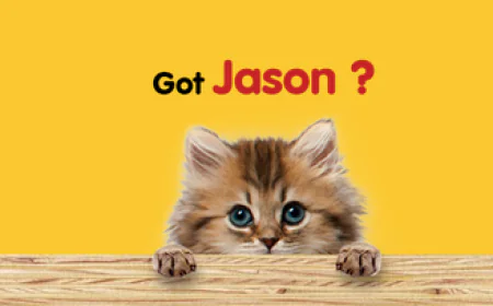 Choosing the Right Cat Litter Size | Jason Cat Litter