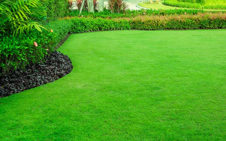 Tree Cutting West Pennant Hills and Thornleigh: A Guide to Safe Tree Removal and Pruning