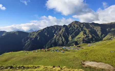 From Wan to Bedni: A Complete Guide to the Ali Bedni Bugyal Trek
