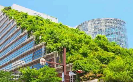 How Green Building Creates Sustainable & Energy-Efficient Homes