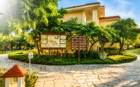 Best Time to Visit Jim Corbett for Wildlife Sightings and Where to Stay in Style