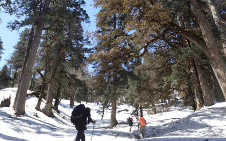 Is Pangarchulla Peak Trek Difficult? Route, Fitness & Summit Day Explained