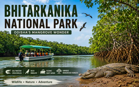 Bhitarkanika Park Odisha: Explore the Mangrove Wilderness