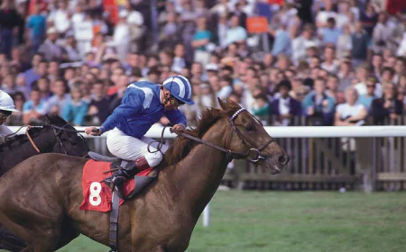 10 Ways a Horse Racing System Builder Can Improve Betting System Research