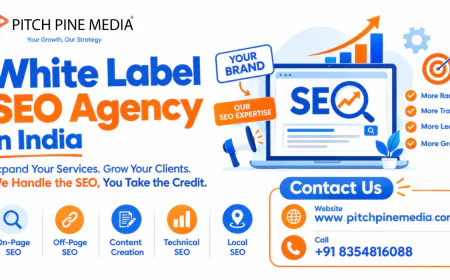 How Do You Choose the Right White Label SEO Providers?
