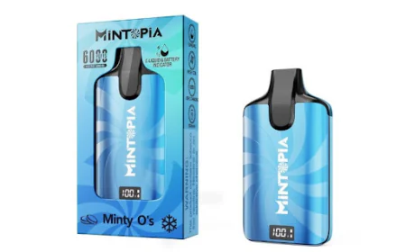 Mint Flavored Vape: Flavor Profiles, Types, and Key Facts